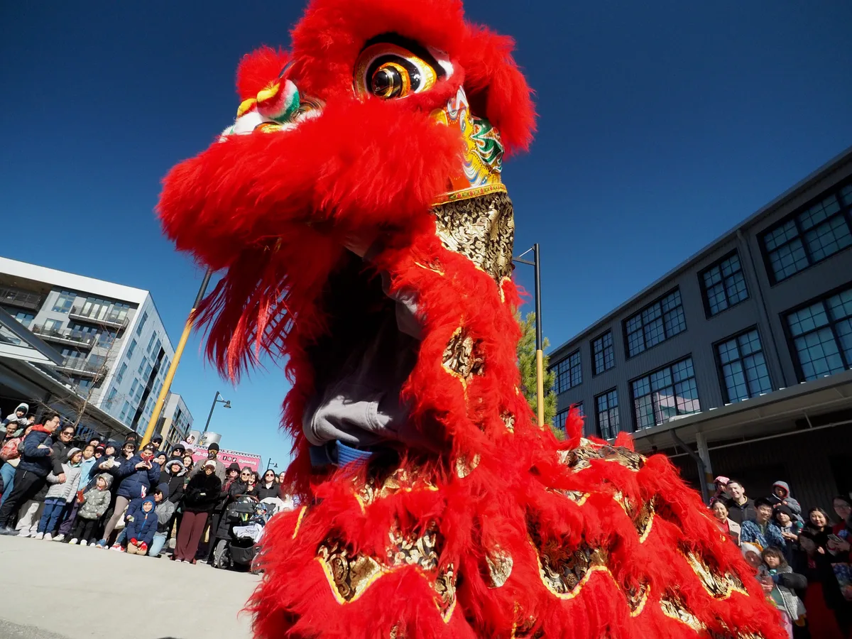 Lunar New Year photograph 19